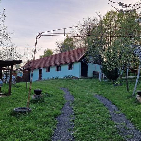 La sălaşul fermecat în Cheile Carasului Iabalcea Extérieur photo
