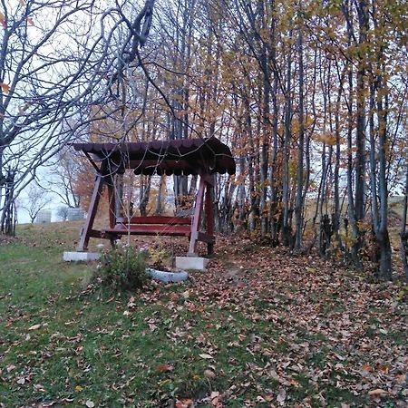 La sălaşul fermecat în Cheile Carasului Iabalcea Extérieur photo