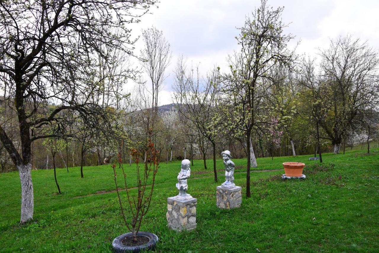 La sălaşul fermecat în Cheile Carasului Iabalcea Extérieur photo