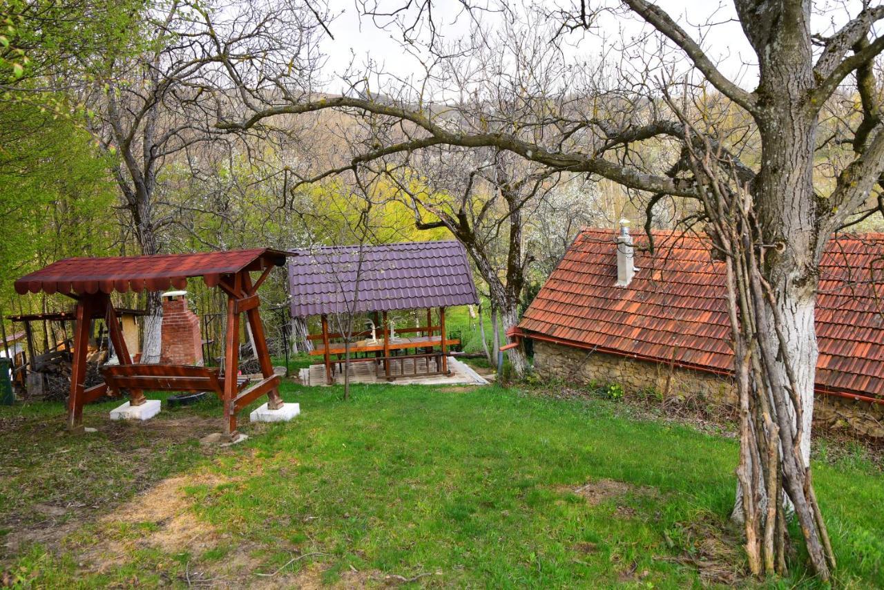 La sălaşul fermecat în Cheile Carasului Iabalcea Extérieur photo