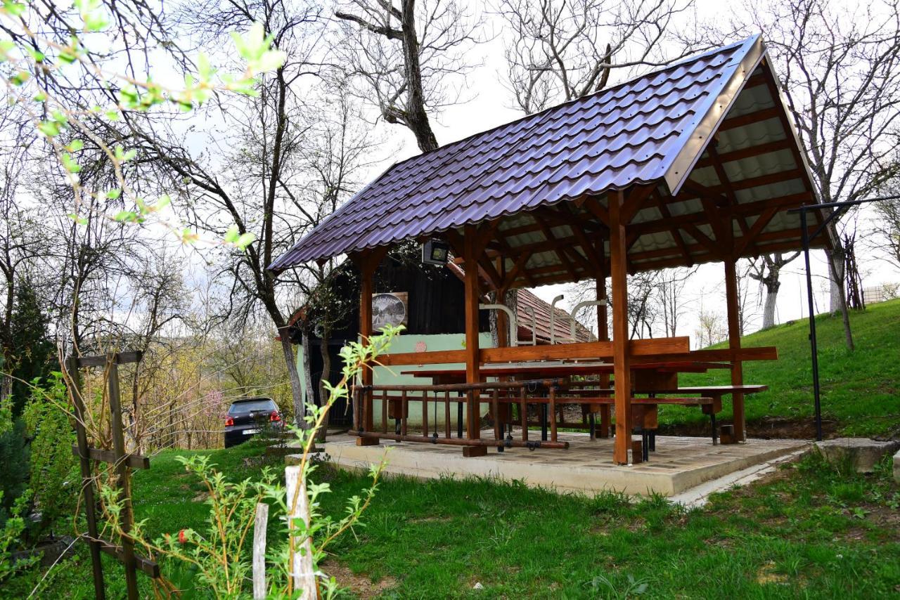 La sălaşul fermecat în Cheile Carasului Iabalcea Extérieur photo