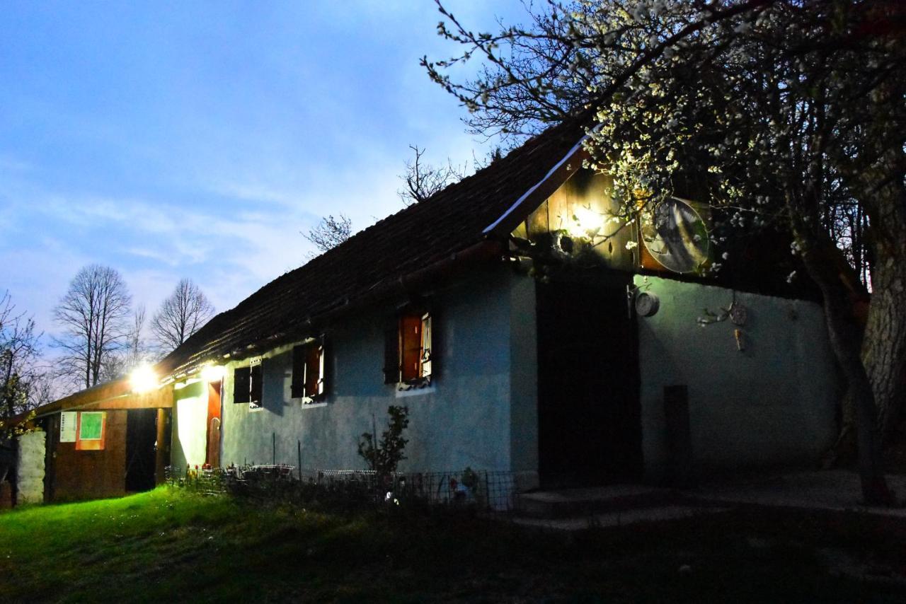 La sălaşul fermecat în Cheile Carasului Iabalcea Extérieur photo