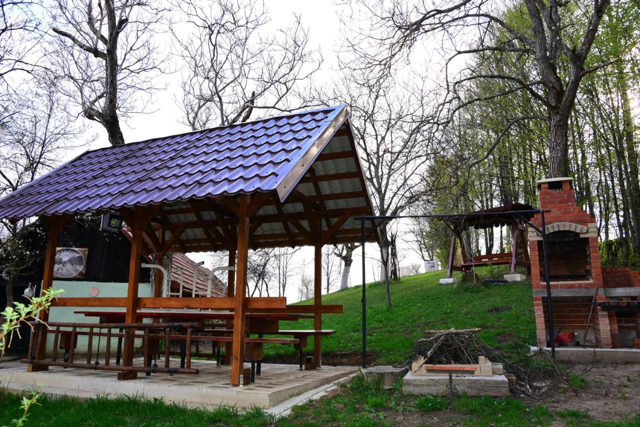 La sălaşul fermecat în Cheile Carasului Iabalcea Extérieur photo