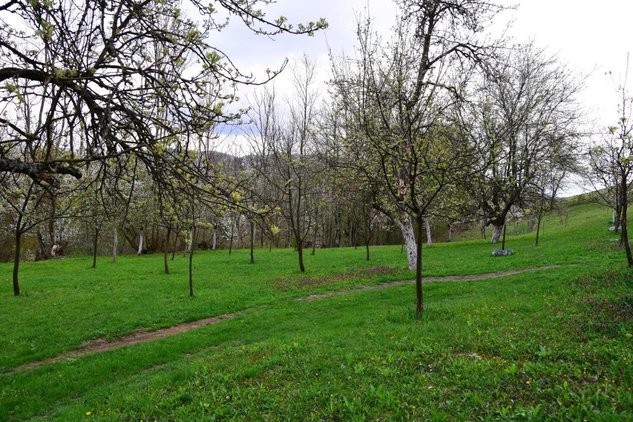 La sălaşul fermecat în Cheile Carasului Iabalcea Extérieur photo