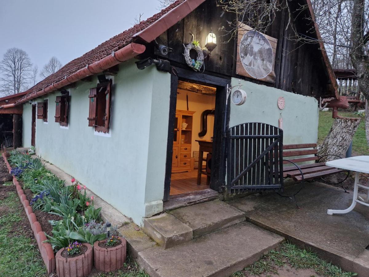 La sălaşul fermecat în Cheile Carasului Iabalcea Extérieur photo