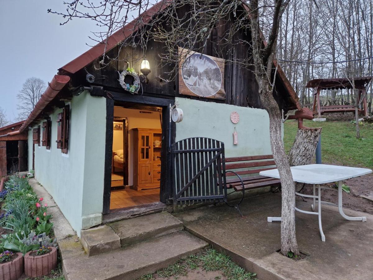 La sălaşul fermecat în Cheile Carasului Iabalcea Extérieur photo