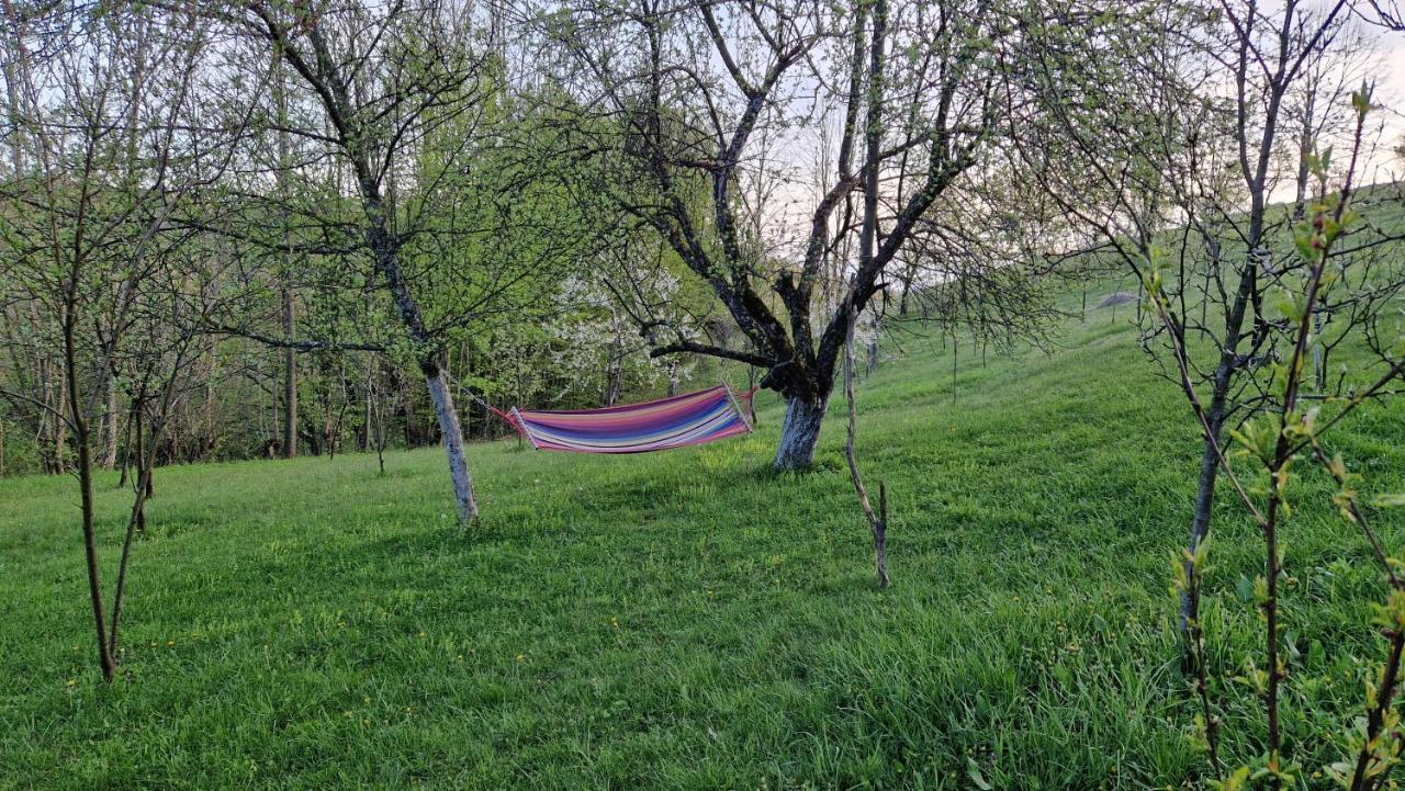La sălaşul fermecat în Cheile Carasului Iabalcea Extérieur photo