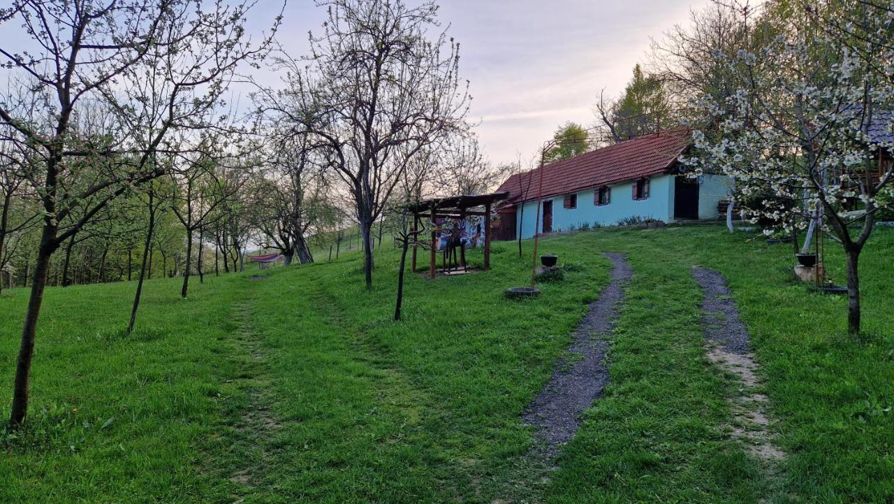 La sălaşul fermecat în Cheile Carasului Iabalcea Extérieur photo
