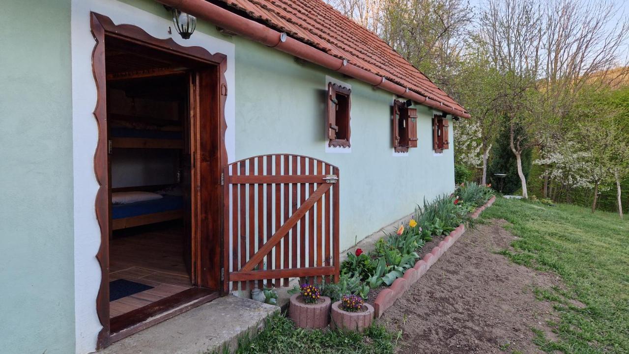 La sălaşul fermecat în Cheile Carasului Iabalcea Extérieur photo