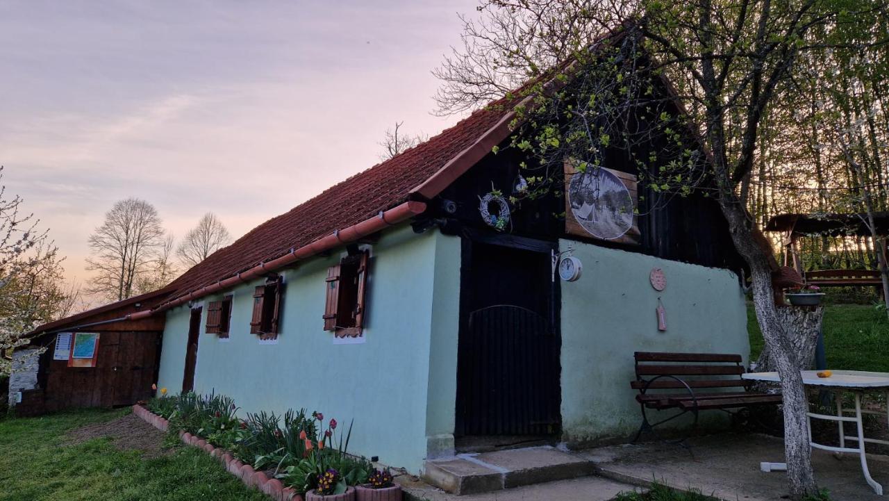 La sălaşul fermecat în Cheile Carasului Iabalcea Extérieur photo