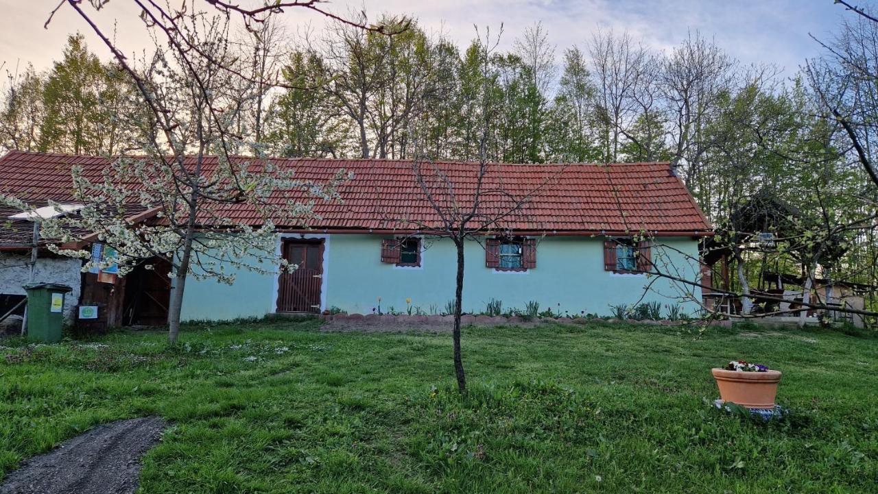 La sălaşul fermecat în Cheile Carasului Iabalcea Extérieur photo