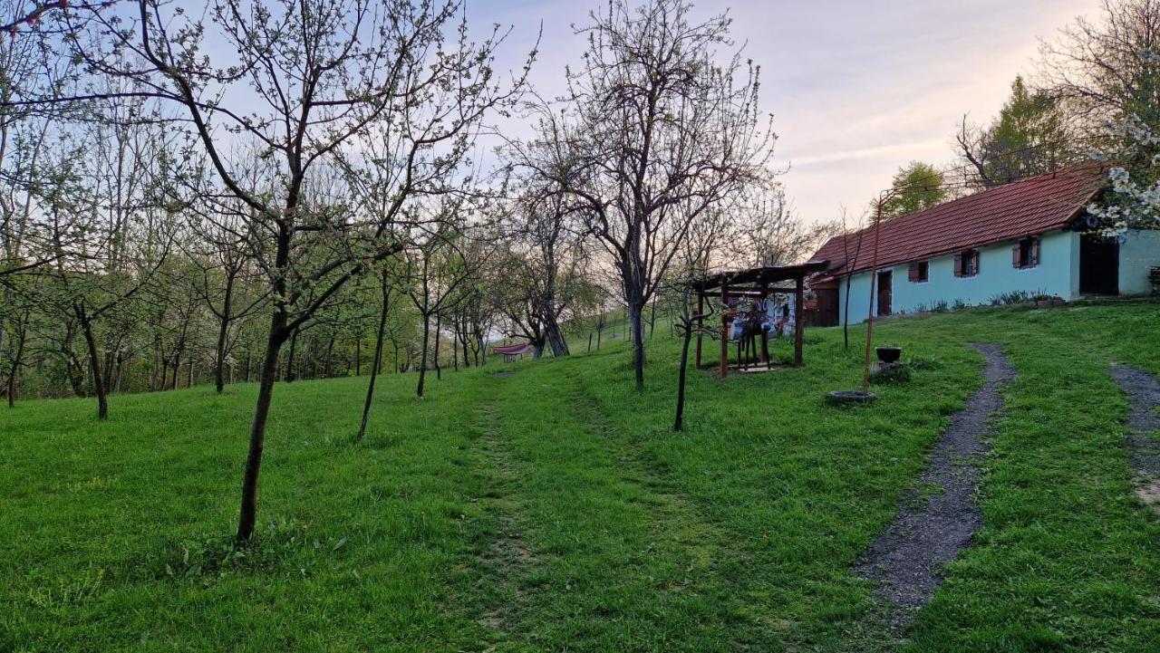 La sălaşul fermecat în Cheile Carasului Iabalcea Extérieur photo