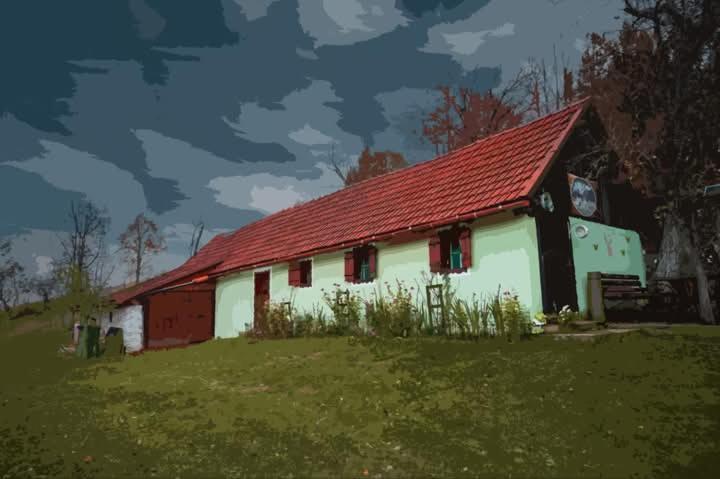 La sălaşul fermecat în Cheile Carasului Iabalcea Extérieur photo