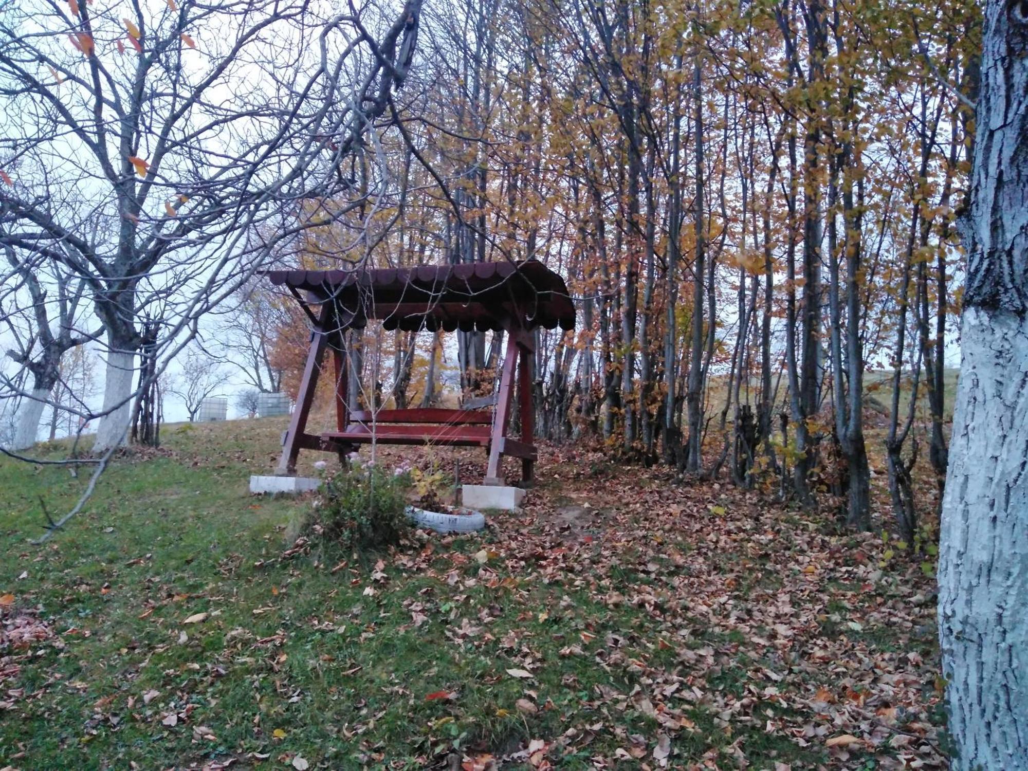 La sălaşul fermecat în Cheile Carasului Iabalcea Extérieur photo